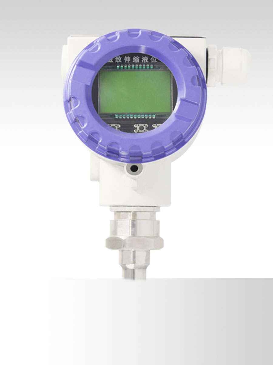 磁致伸縮變送器表頭 磁致伸縮變送器表頭