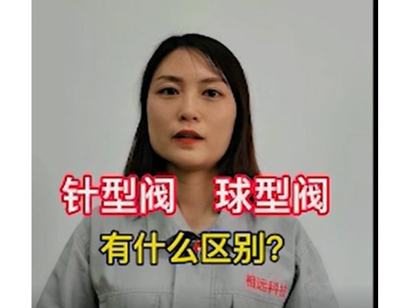 磁翻板液位計(jì)針型閥和球型閥的區(qū)別