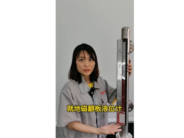 磁翻板液位計怎么實現(xiàn)遠(yuǎn)傳？視頻講解