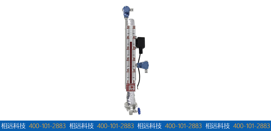 電伴熱磁翻板液位計(jì)