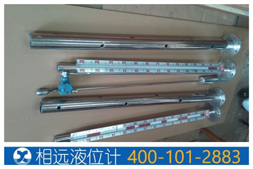 頂裝帶護(hù)筒磁翻板液位計(jì)